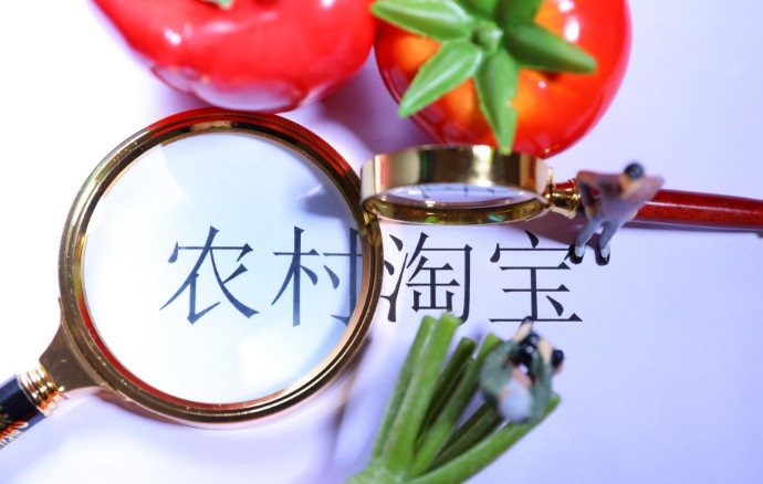 福建漳州局力争为省级农村电商示范村提供快递网络支撑_政策_电商报