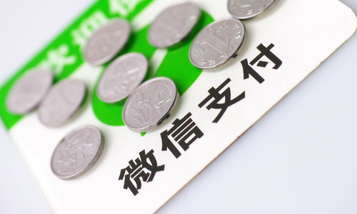 微信支付持续拓展海外 马化腾回应法国小伙喊话_支付_电商报