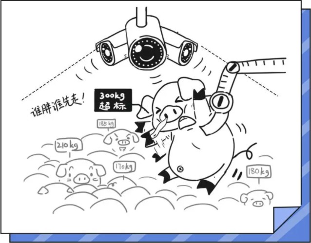 刚刚，刘强东正式宣布：养猪去了！_行业观察_电商报