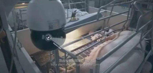 刚刚，刘强东正式宣布：养猪去了！_行业观察_电商报