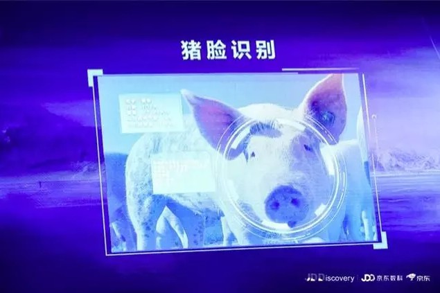 马云、刘强东纷纷入局，大佬扎堆养猪背后，大有深意！_行业观察_电商报