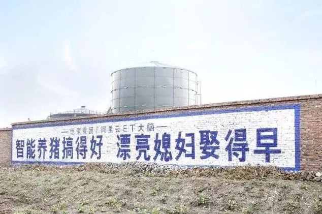 马云、刘强东纷纷入局，大佬扎堆养猪背后，大有深意！_行业观察_电商报