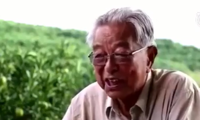 寒冬中，重新认识褚时健_人物_电商报