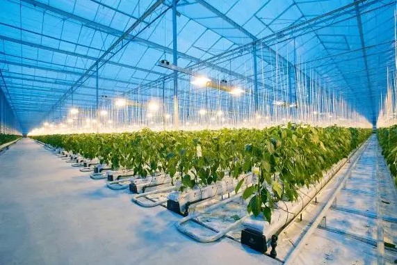 刚刚！腾讯进军无人农业，浇水施肥统统没有人……_行业观察_电商报