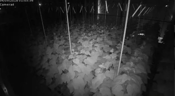 刚刚！腾讯进军无人农业，浇水施肥统统没有人……_行业观察_电商报