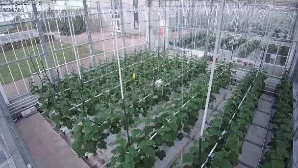 刚刚！腾讯进军无人农业，浇水施肥统统没有人……_行业观察_电商报