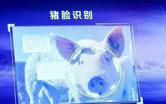 刚刚！腾讯进军无人农业，浇水施肥统统没有人……_行业观察_电商报
