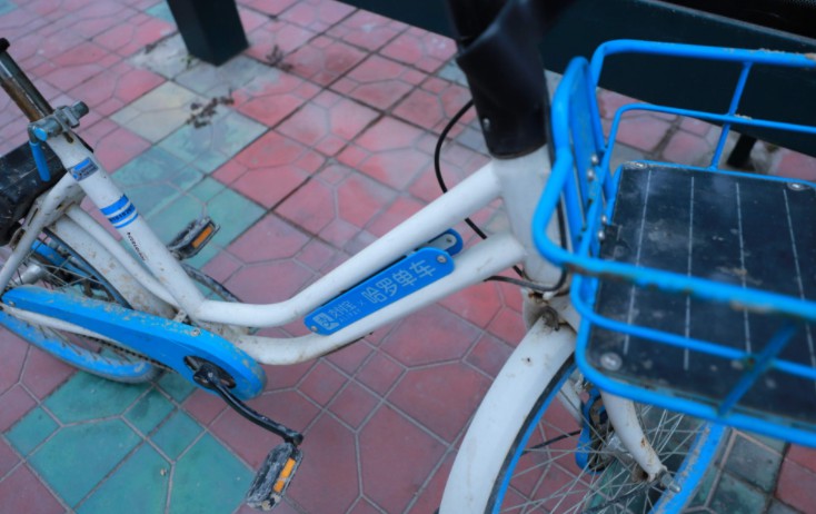 哈啰正筹备顺风车业务  上线时间仍不确定_O2O_电商报