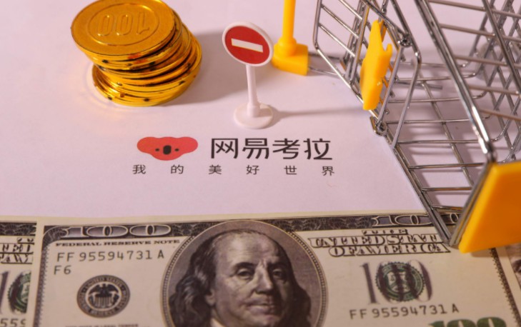 加拿大羽绒服事件仍在发酵   网易考拉已被立案调查_零售_电商报