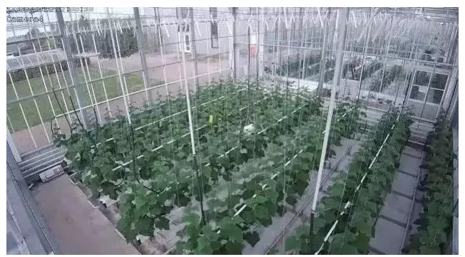 千万菜农坐不住了！腾讯再次出手，这个行业要被颠覆！_行业观察_电商报
