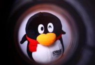 微盟联合腾讯云发布数字战疫方案 助力商家实现线上经营