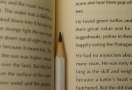 知识服务平台Lynk完成B轮融资   阿里巴巴跟投