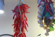 农场主服务社群“农创圈”获数百万人民币天使轮融资