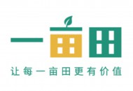 一亩田签约现场云 成首家入驻的农业互联网公司