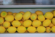 餐饮供应链B2B电商“鲜沐农场”获新一轮融资