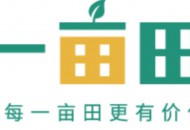 一亩田：“保供稳价安心”平台已进行70多场助农直播