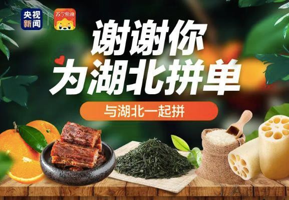 “小朱配琦”高能带货 央媒携手电商共助湖北_零售_电商报 “小朱配琦”高能带货 央媒携手电商共助湖北_零售_电商报