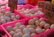 蛋品供应公司懒龙龙获近千万元A+轮融资