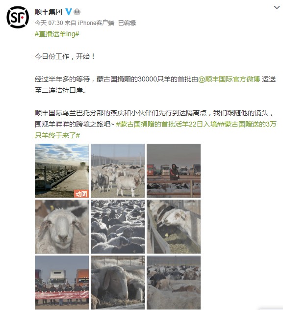 顺丰集团：顺丰国际将蒙古国首批4000只活羊运达中国_物流_电商报